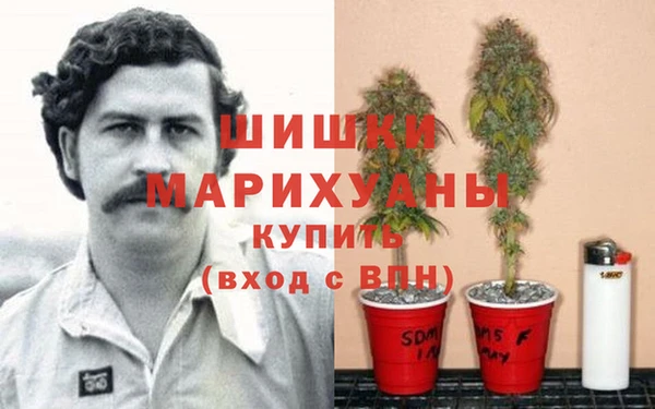 хмурый Алзамай