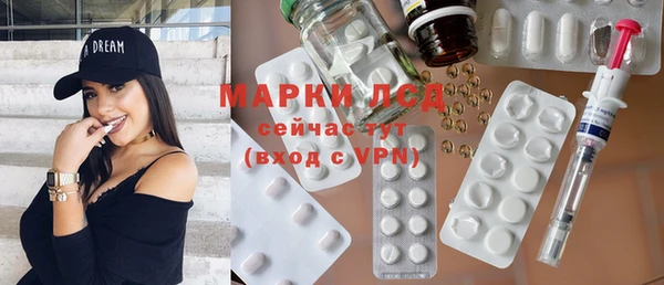 хмурый Алзамай