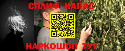 МДПВ Камышлов