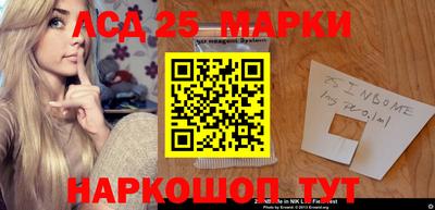 МДПВ Камышлов