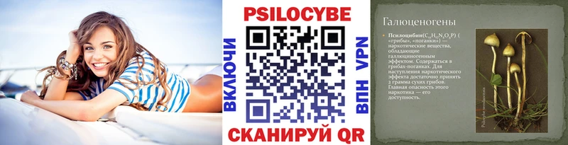 как найти закладки  Качканар  Псилоцибиновые грибы мицелий 