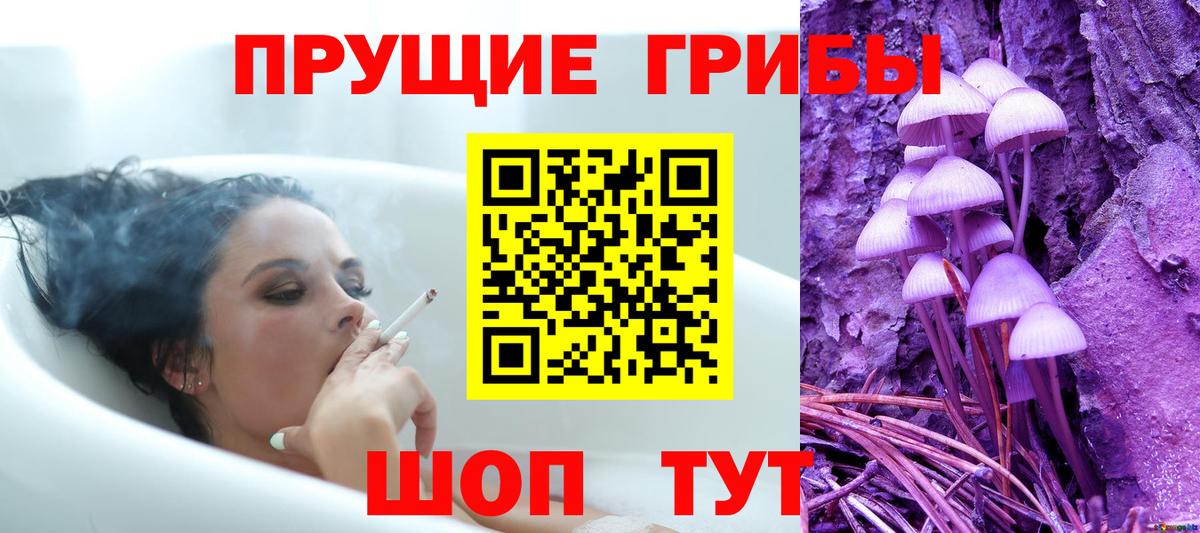 Галлюциногенные грибы прущие грибы  купить   Качканар  Вход с VPN 