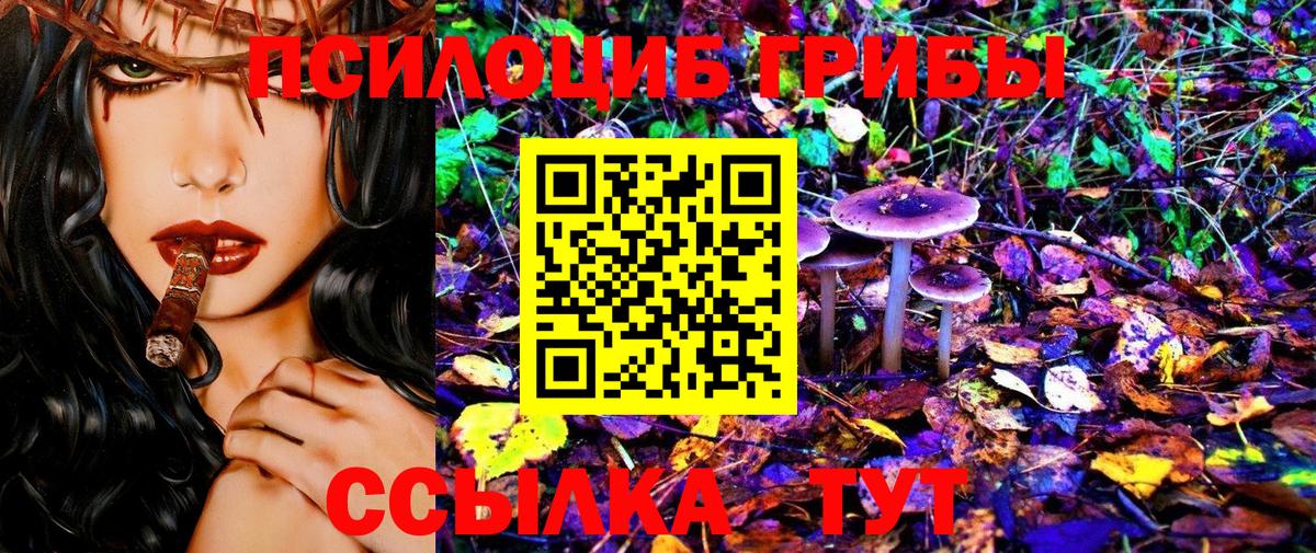 Галлюциногенные грибы Cubensis Качканар